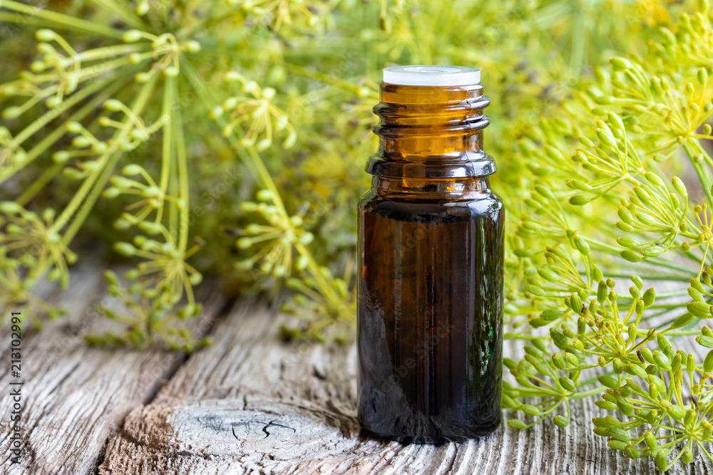 A bottle of dill seed oil with fresh blooming dill A bottle of dill seed oil with fresh blooming dill