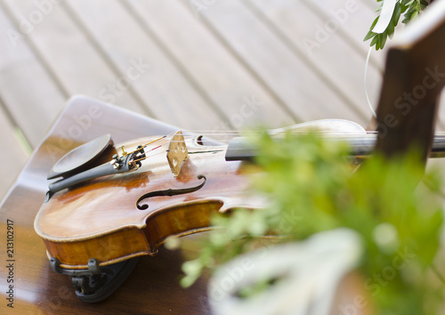 Violin. Violin outdoors. Live music. Wedding.Musician for the wedding.Violin under the open sky photo
