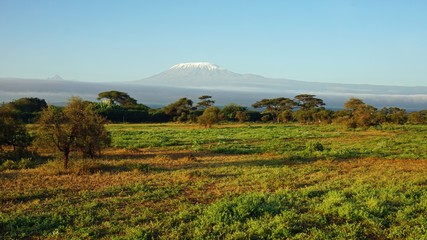 Crédence de cuisine Afrique Kilimandjaro dominant les plaines kényanes  © chriss73