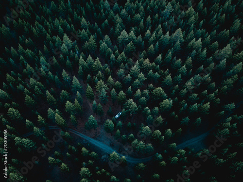 Vanlife Camping Forest Aerial
