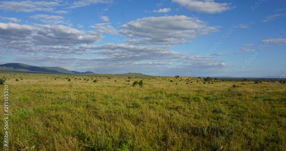 natural green landscape in kenya