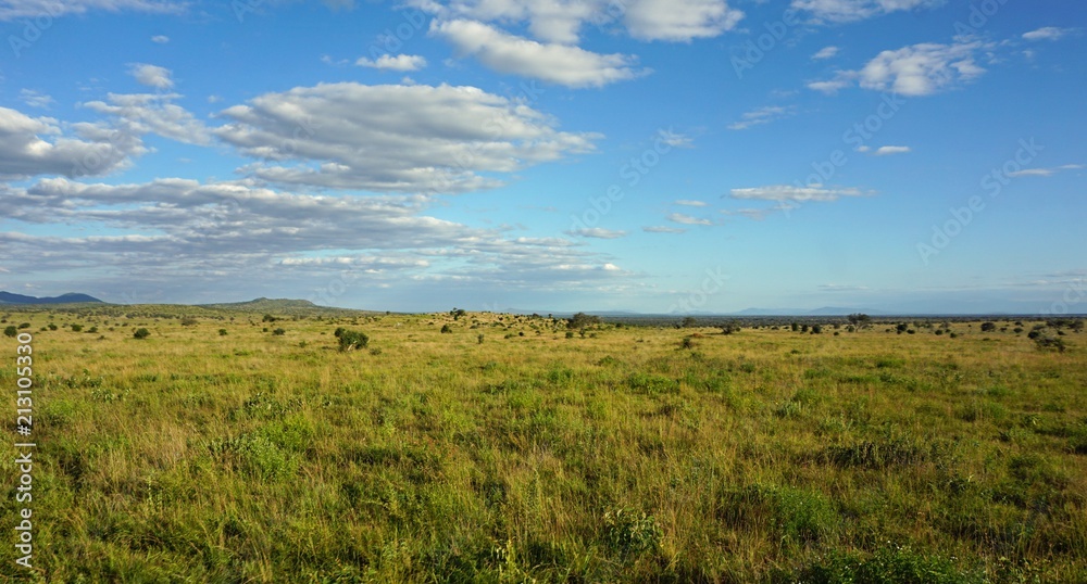 natural green landscape in kenya
