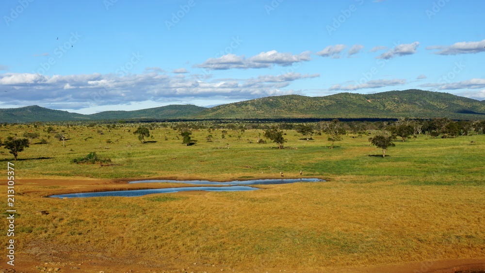 water whole with kenyan nature