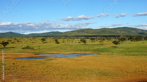 water whole with kenyan nature