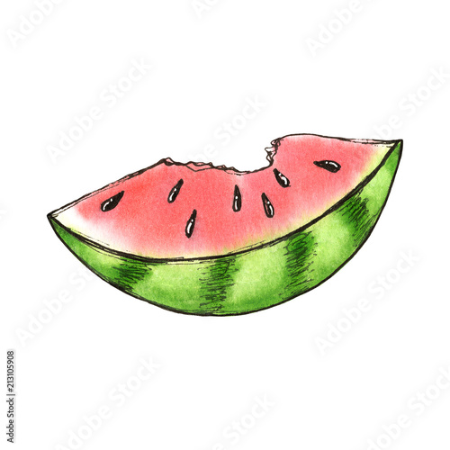 Watercolor watermelon illustration, isolated summer food organic fruit set