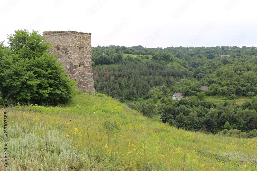 The ruins of the old fortress