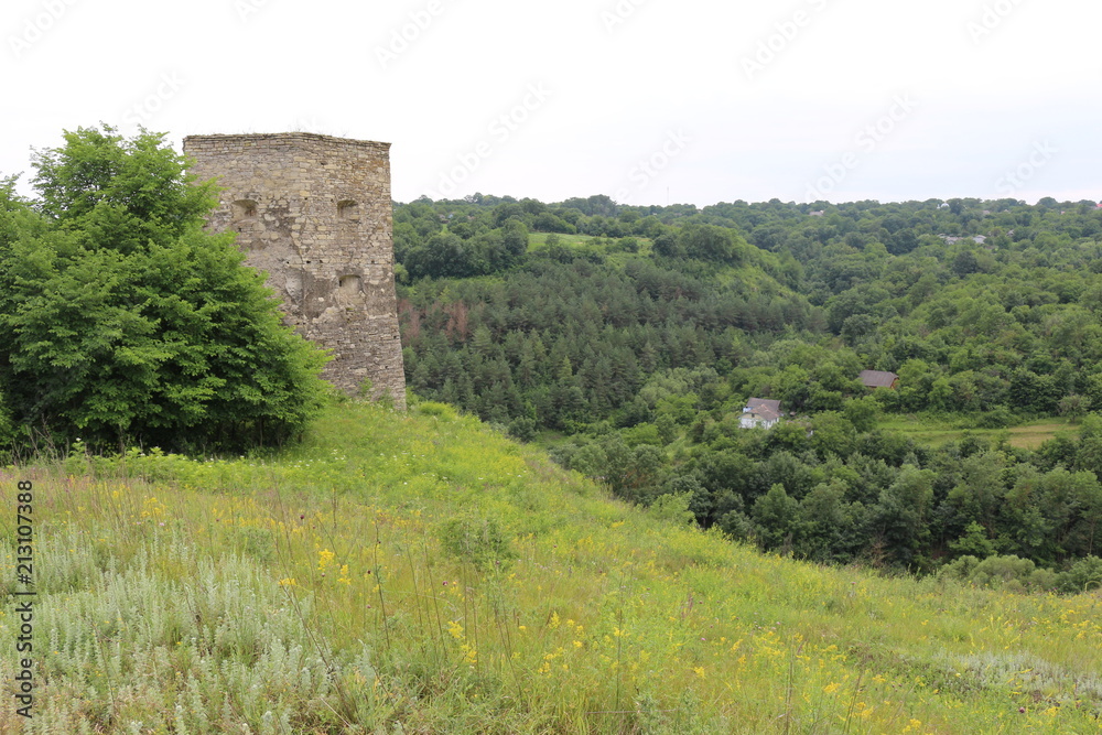 The ruins of the old fortress The ruins of the old fortress