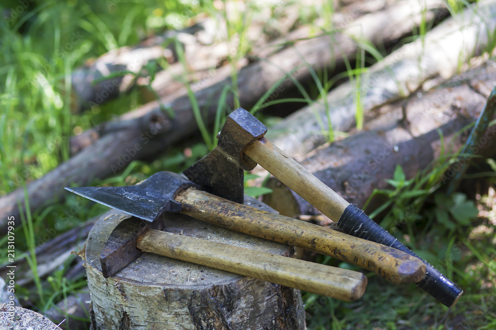 illegal deforestation, axes lie on the stump illegal deforestation, axes lie on the stump