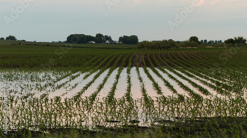 Flooded Field