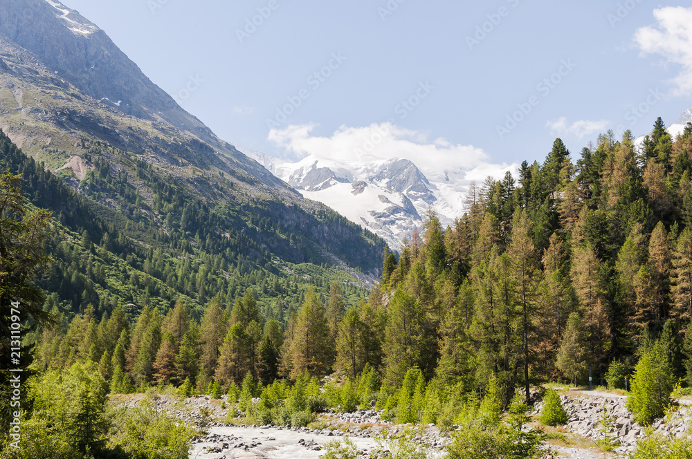 Bernina, Morteratsch, Gletscher, Val Bernina, Berninapass, Gletscherweg, Wanderweg, Lärchenwald, Alpen, Graubünden, Sommer, Schweiz