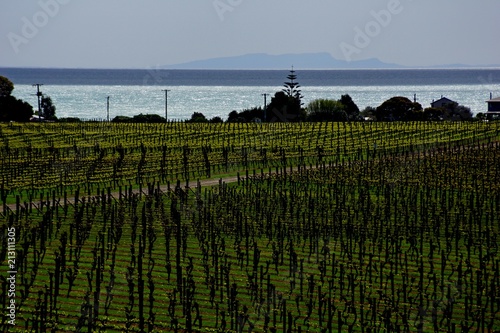 Napier, New Zealand