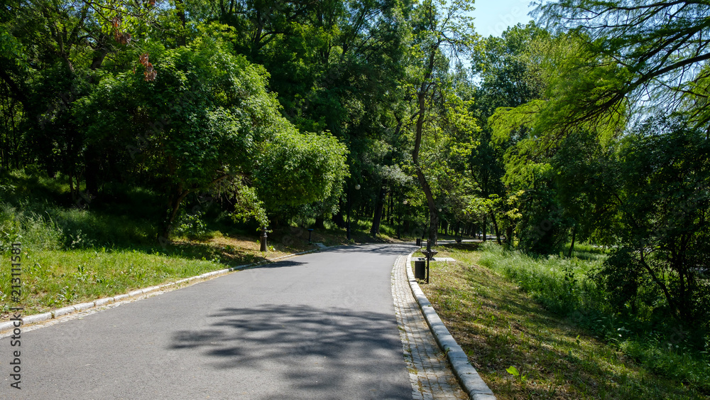 Alley in the park Alley in the park