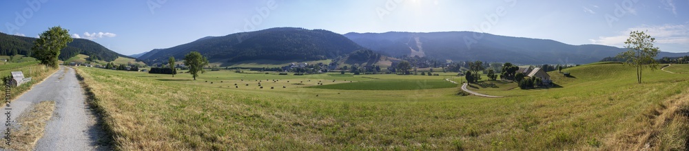 Panorama sur les champs de Méaudre et la ViaVercors, Isère, France