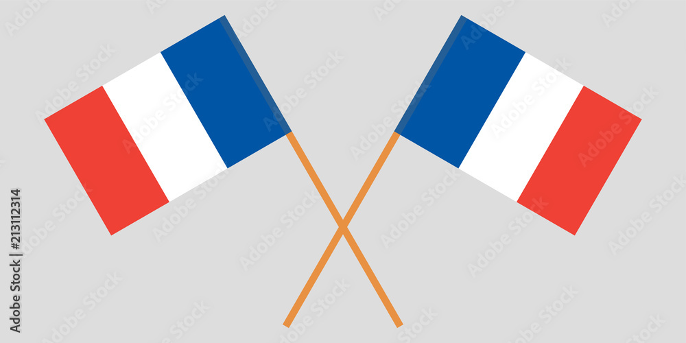 The crossed France flags. Vector