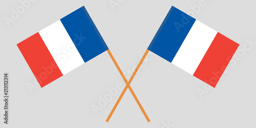 The crossed France flags. Vector