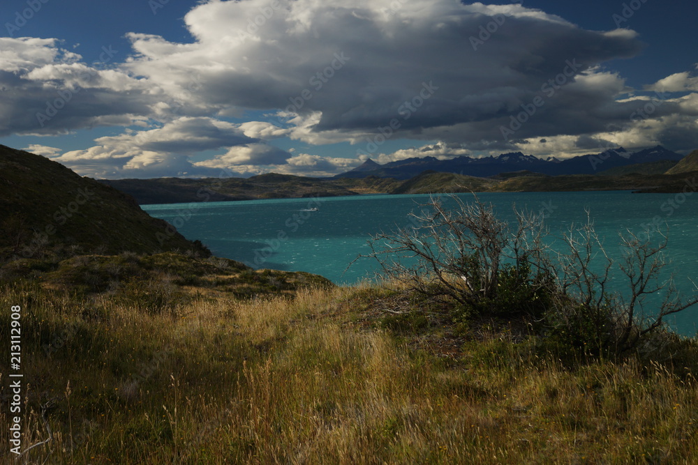 Chile, Patagonia, Torres Del Paine Park