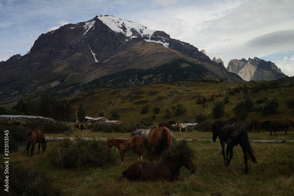 Chile, Patagonia, Torres Del Paine Park