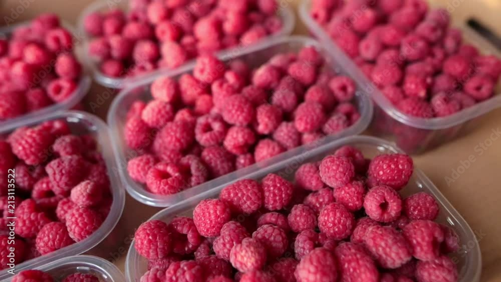A lot of selective organic raspberries in plastic boxes inside a cardboard box A lot of selective organic raspberries in plastic boxes inside a cardboard box