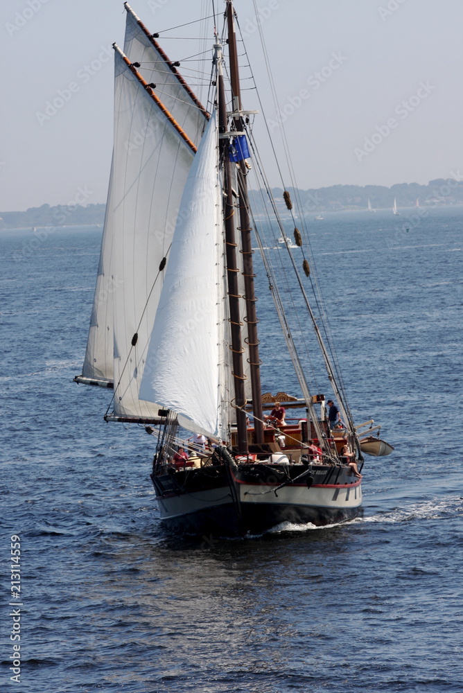 Obraz premium Sail boat front view