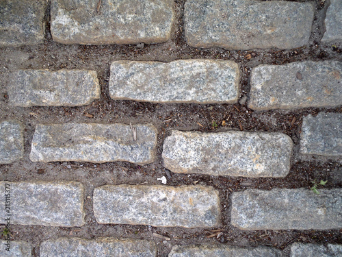 Cobble stone path