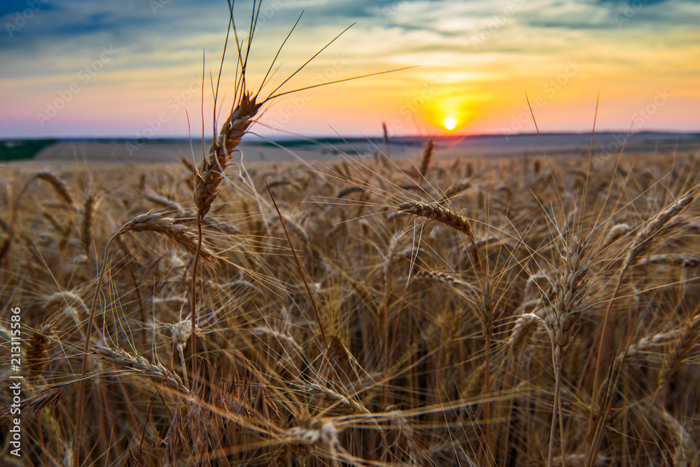 Fototapeta premium beautiful sunset and sky in the field as background, colorful clouds