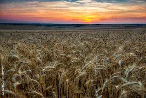 beautiful sunset and sky in the field as background, colorful clouds