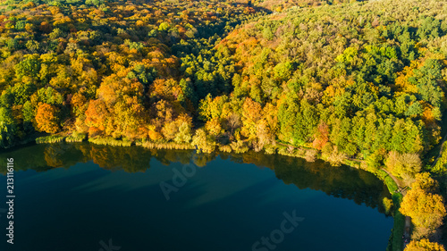 Fototapeta Naklejka Na Ścianę i Meble -  Golden autumn background, aerial view of forest with yellow trees and beautiful lake landscape from above, Kiev, Goloseevo forest, Ukraine
