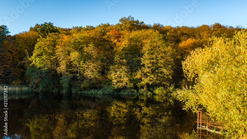 Golden autumn background  aerial view of forest with yellow trees and beautiful lake landscape from above  Kiev  Goloseevo forest  Ukraine  