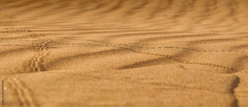 Maranjab Desert in Iran Maranjab Desert in Iran