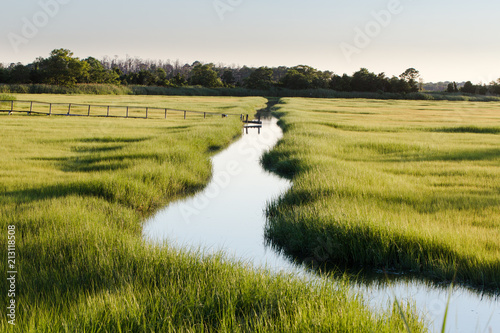 creek through marsh field
