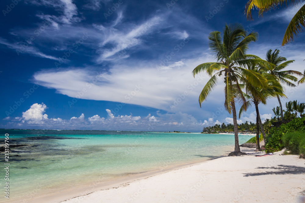 Palms on tropical beach in Mauritius Island, Indian Ocean
