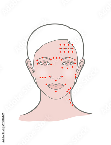 Shiatsu points face massage, acupuncture. Vector. Isolated on white background