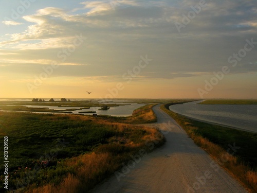 Golden sunrise landscape over wetlands with grass, windy road along water, no people and one flying bird