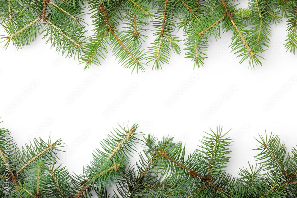 Branches of Christmas tree on white background Branches of Christmas tree on white background
