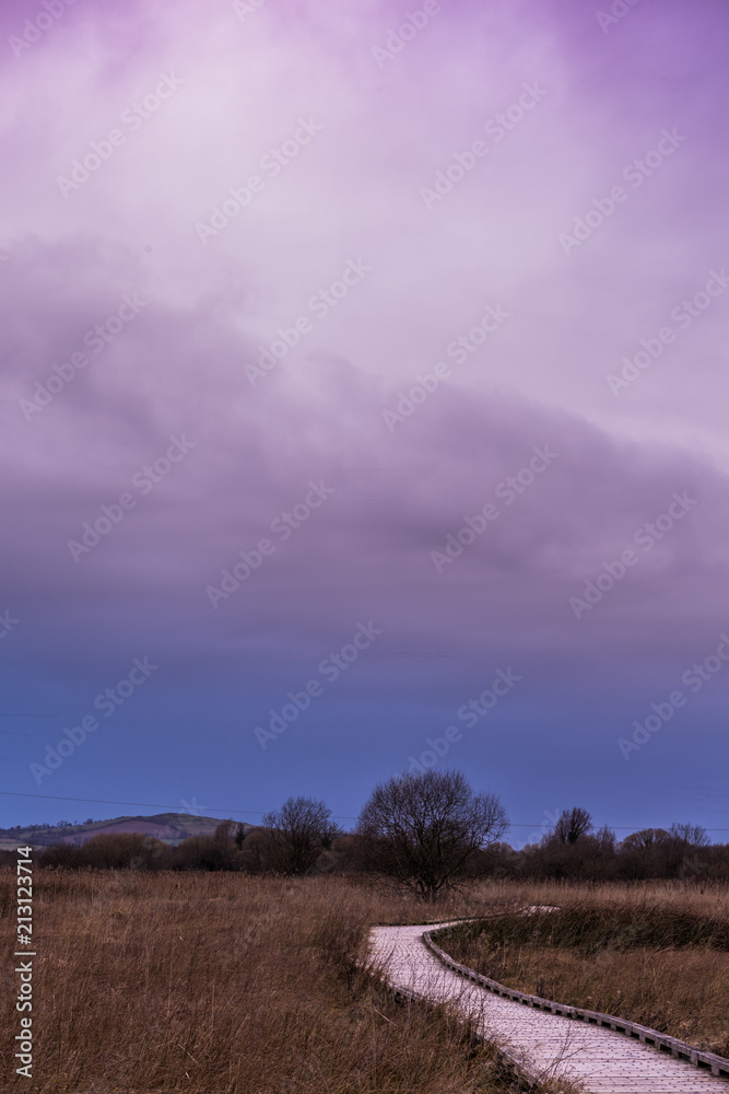 Fototapeta premium Pollardstown Fen