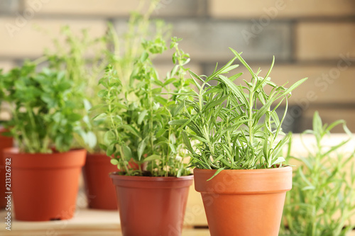 Pots with fresh rosemary on table against blurred background