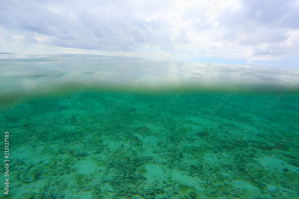 Amazing view on both above water sutface and under water surface world. Amazing nature backgrounds. Maldives, Indian Ocean Amazing view on both above water sutface and under water surface world. Amazing nature backgrounds. Maldives, Indian Ocean