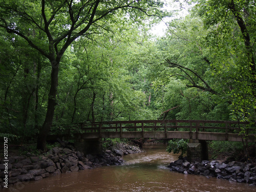 Pedestrian Bridge arches over Dirty Stream flows quickly through the Forest