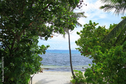 Gorgeous view on coastline through green trees. Maldives  Indian Ocean. Beautiful backgrounds.