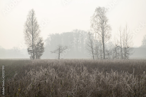 Winterliche Landschaft im Münsterland
