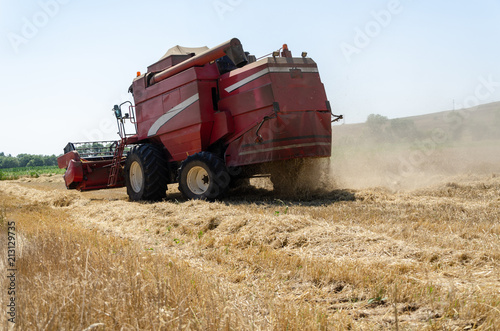The harvester is harvesting the wheat field.