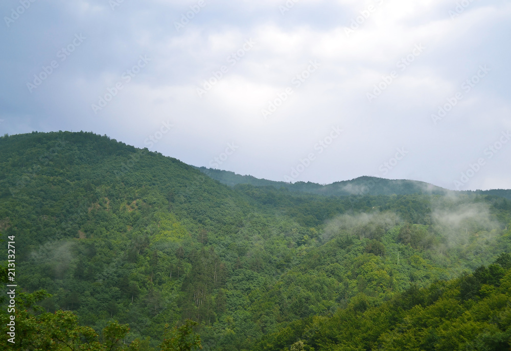 Summer landscape: high hills overgrown with a dense green forest, above which rises the morning mist, the sky is cloudy