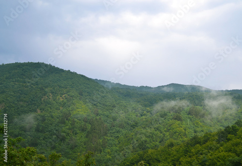 Summer landscape: high hills overgrown with a dense green forest, above which rises the morning mist, the sky is cloudy