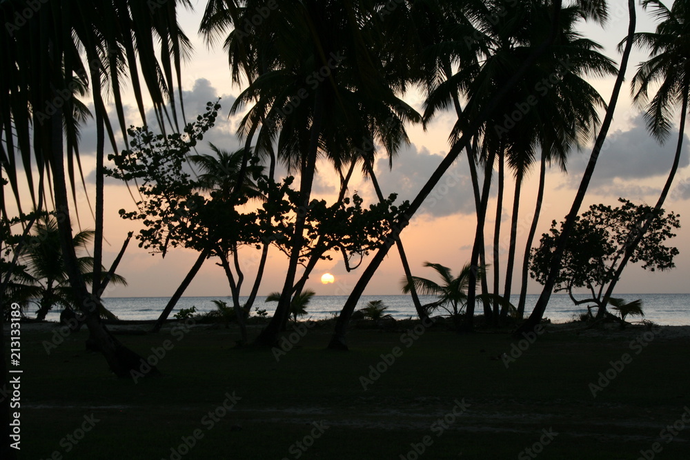 Silhouette of palm trees at sunset along Pigeon Point beach on the island of Tobago