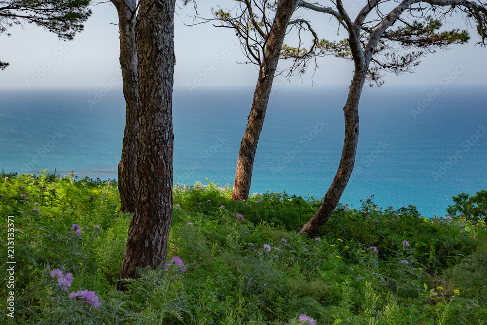 Sicilian Summer Landscape near Cefalù Sicilian Summer Landscape near Cefalù
