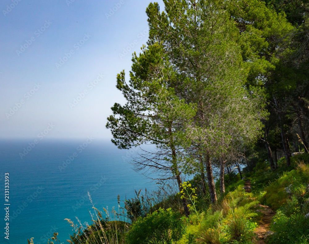 Sicilian Summer Landscape near Cefalù