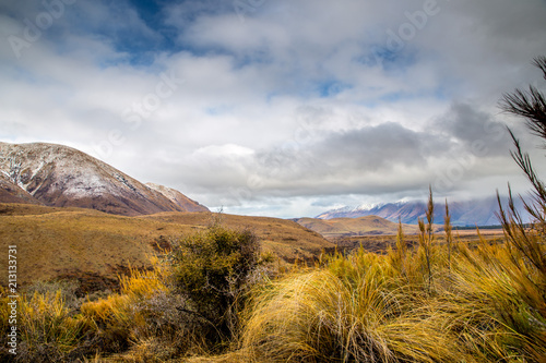 Valokuva Tussocks and other plants grow in the valley of a high country farm