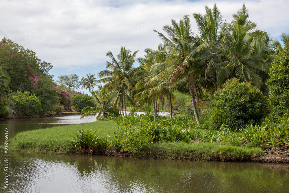 Tropical hawaiian jungle with palm trees