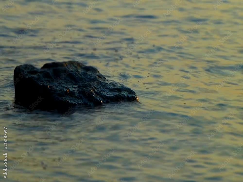 stone in water, background time lapse stone in water, background time lapse