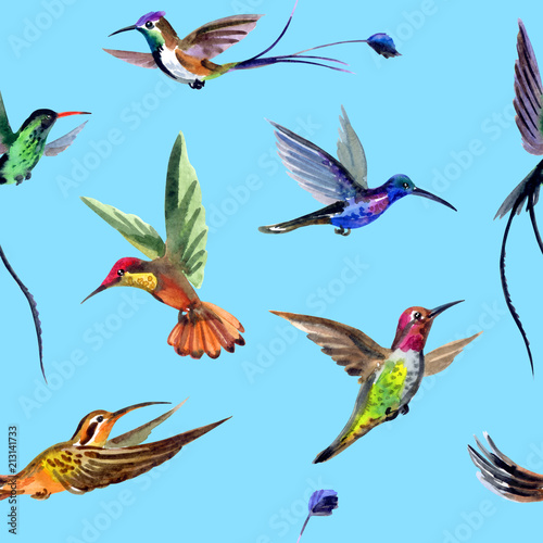 Seamless watercolor pattern from multi-colored hummingbirds.